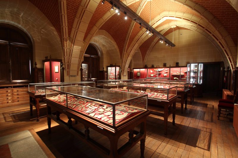 Salle_Piette_au_Musée_d’Archéologie_nationale_à_Saint-Germain-en-Laye_le_27_mars_2017_-_02